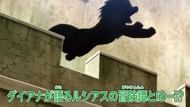A shadowy Pokemon that looks like Arcanine leaps from the castle walls (Image via The Pokemon Company)